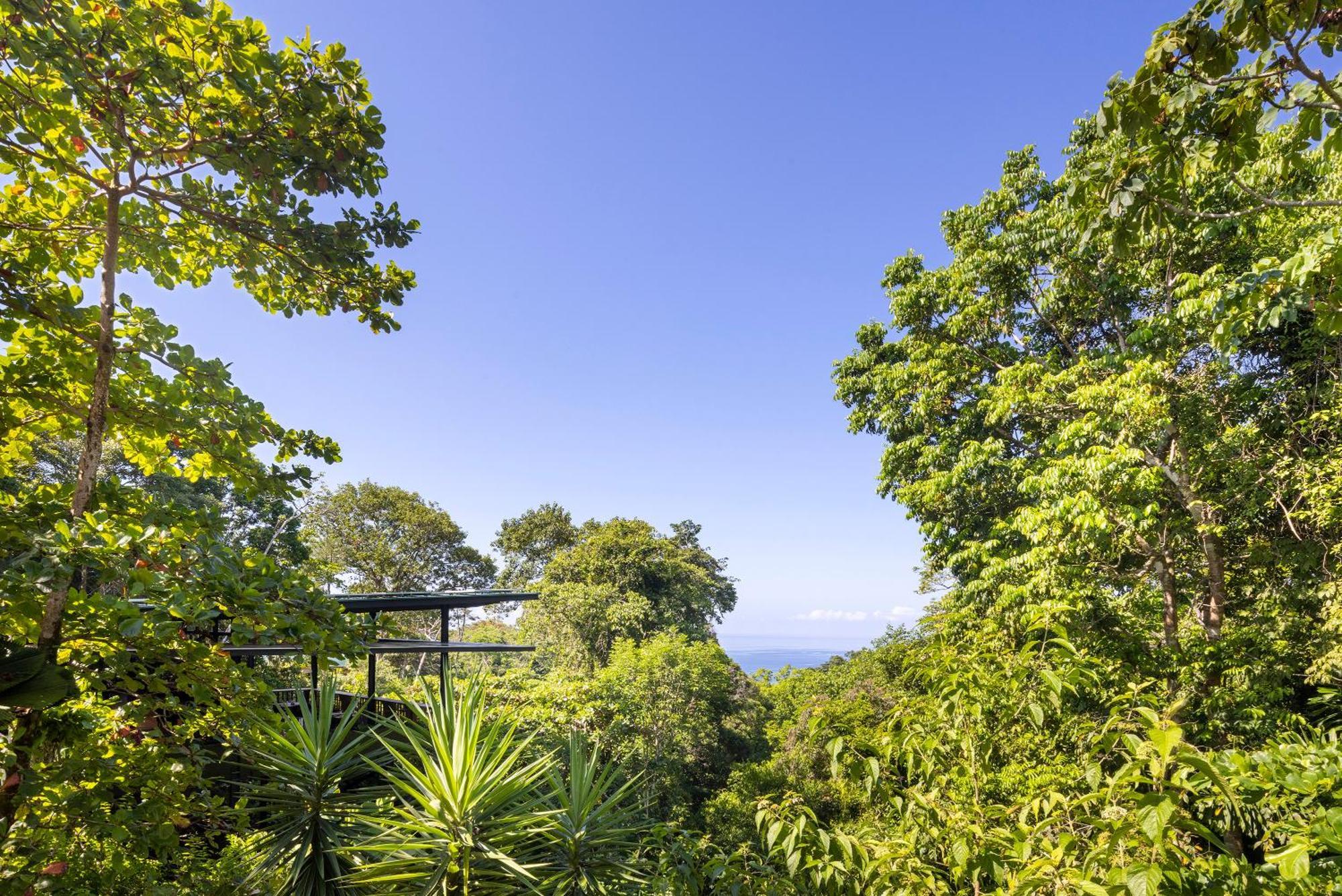 El Remanso Rainforest Lodge Puerto Jiménez Exterior foto