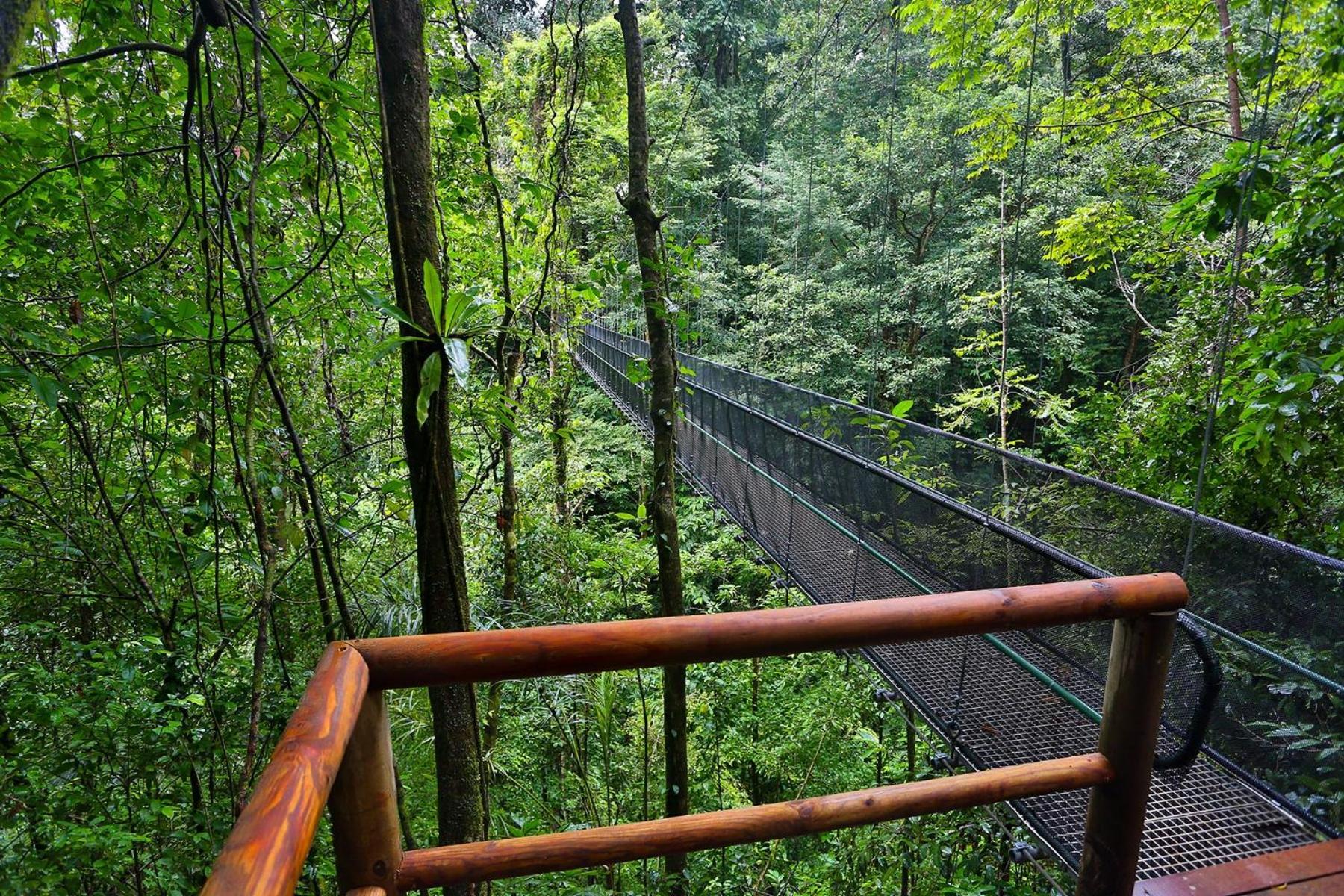 El Remanso Rainforest Lodge Puerto Jiménez Exterior foto